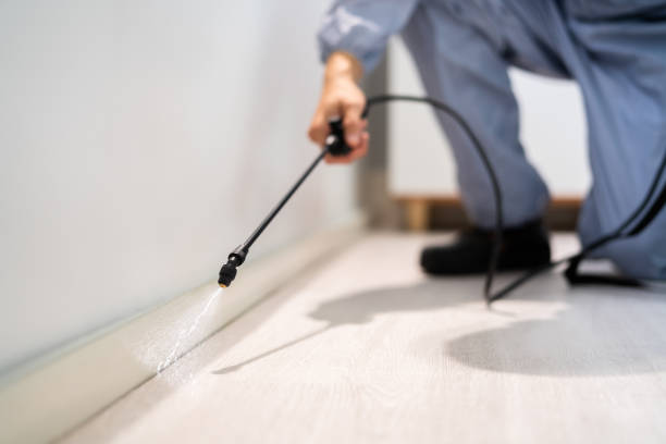 Licensed Cockroach Control service in Redding, CA - Nex Pest Control