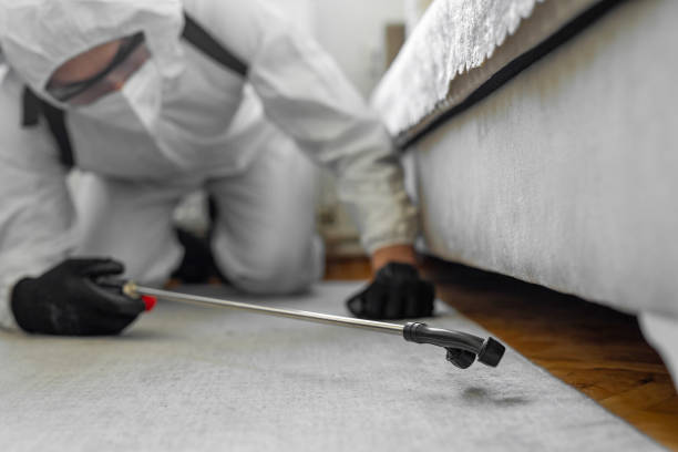 Professional Cockroach Control technician working in Redding, CA