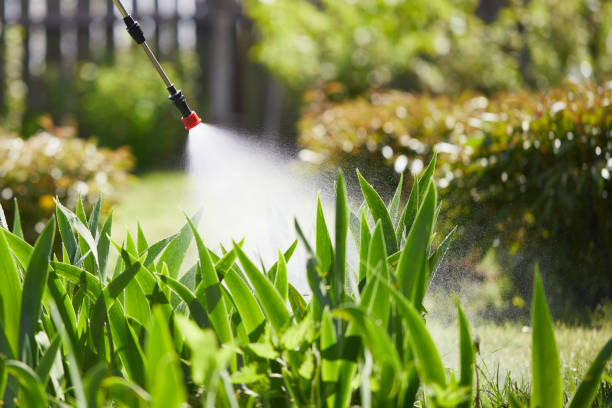 24/7 Emergency Cockroach Control experts in Redding, CA