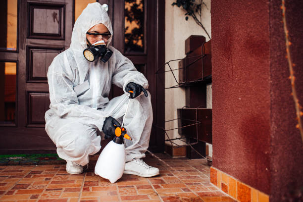 Reliable Cockroach Control contractor in Redding, CA by Nex Pest Control